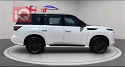 ئينفنتي QX80